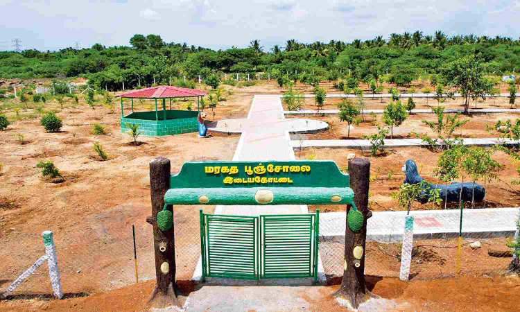 Tamil Nadu to get 17 more Maragatha Pooncholais in five districts Tamil Nadu to get 17 more Maragatha Pooncholais in five districts