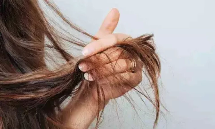 DT Next Tress Talk: What causes split ends in hair? How to prevent it?