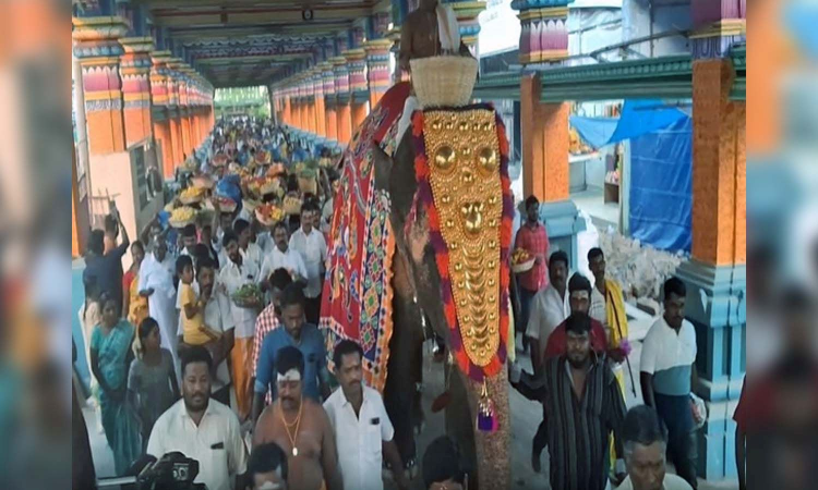 Tamil Nadu: Colourful Samayapuram poochorithal grabs attention
