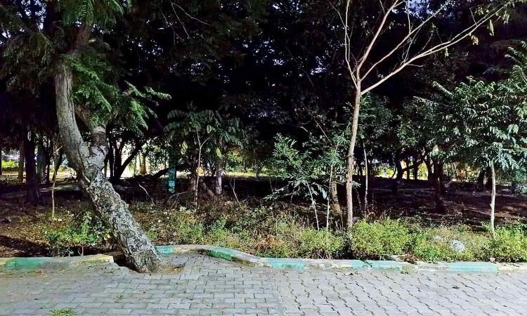 Chennai Citizen Connect: Visitors flag safety concerns at herbal park in Purasawalkam