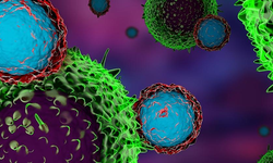 Scientists focus on a new antibody to fight treatment-resistant cancers