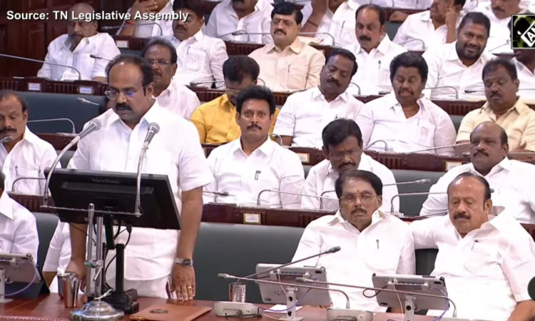 TN Budget 2025: State govt staff can surrender earned leave again