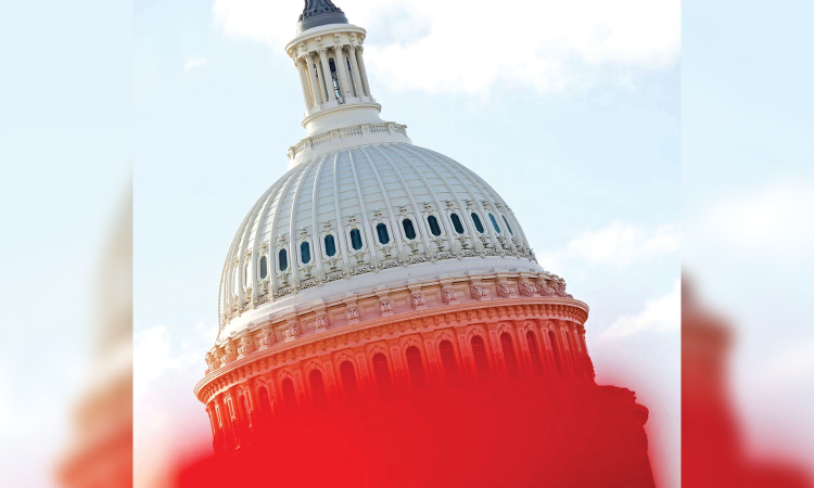 Democracy dies in dumbness