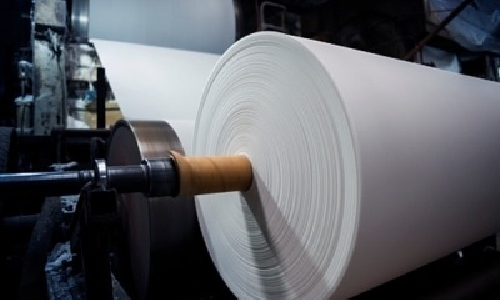 India’s paper industry poised to recover in 2025-26: Report