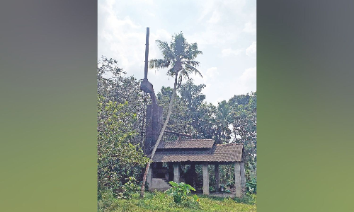 Stakeholders hope creation of TN Cashew Board will give new impetus to processing industry