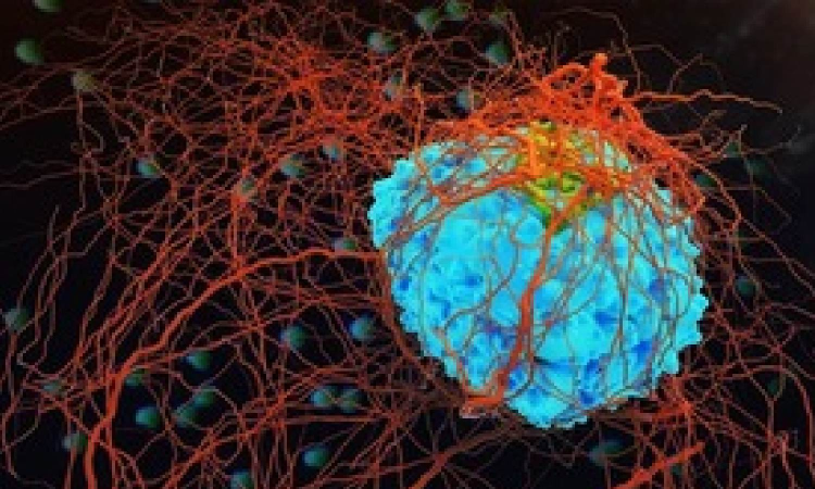 New gene test detects pathogens in blood without amplification New gene test detects pathogens in blood without amplification