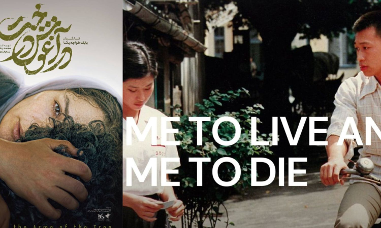 Witness cultural crossroads through films