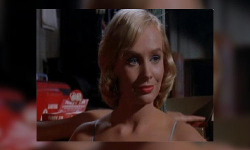 West Side Story actor Carole DAndrea passes away at 87 West Side Story actor Carole DAndrea passes away at 87