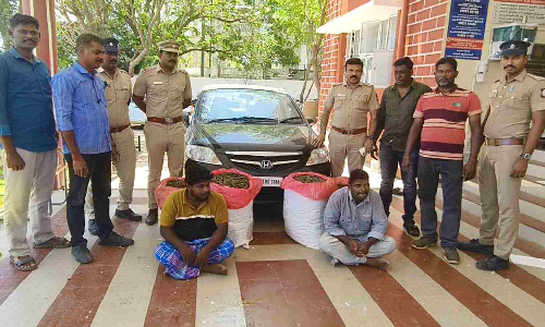 Madurai duo held with 102 kg ganja in major drug bust near Chennai