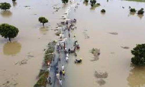 Sand-sized fossils hold secrets to history of climate change