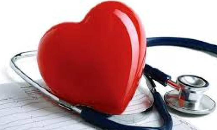 Everything links to healthy heart vessels, say experts