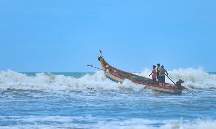 Fishing ban ends, Kanniyakumari boats return with Rs 5 crore worth catch