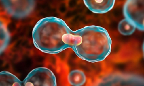 Residual cancer may hide behind clear scans, linked to worse outcomes: Study