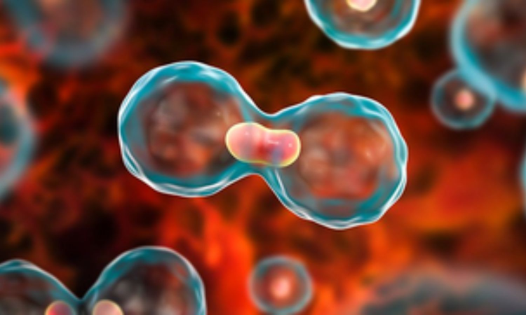 Residual cancer may hide behind clear scans, linked to worse outcomes: Study