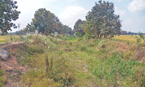 Complete renovation works of Grand Anicut Canal, appeal Ayacutdars