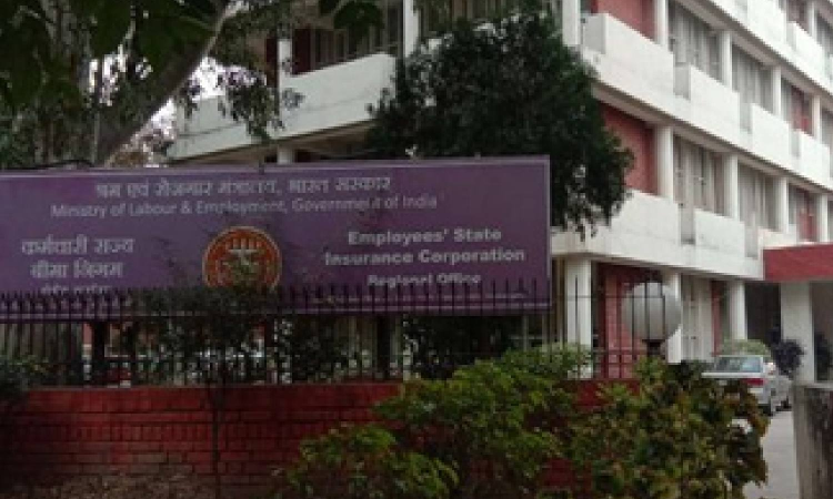 18.19 lakh new workers added to ESIC payroll data in Jan