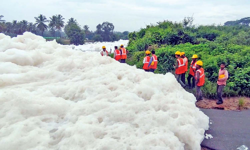 Dirty water: Thenpennai river carries Bengaluru’s sewage to TN