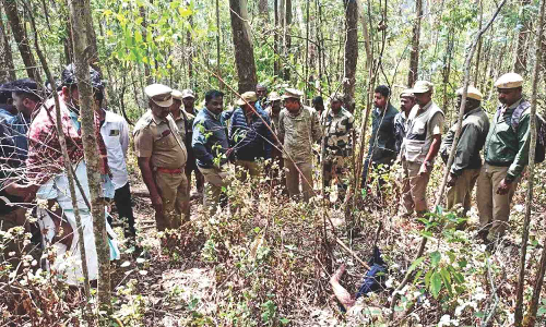 Tiger on prowl in Ooty kills Toda tribal man