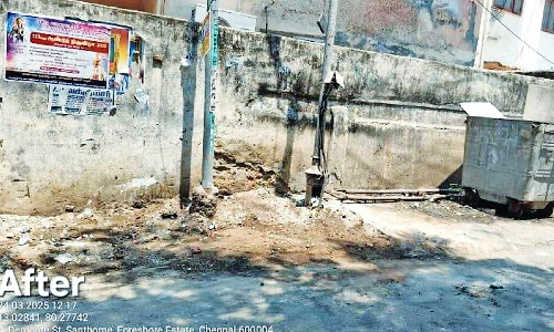 DT Next impact: Debris cleared on Demonte Road in Santhome