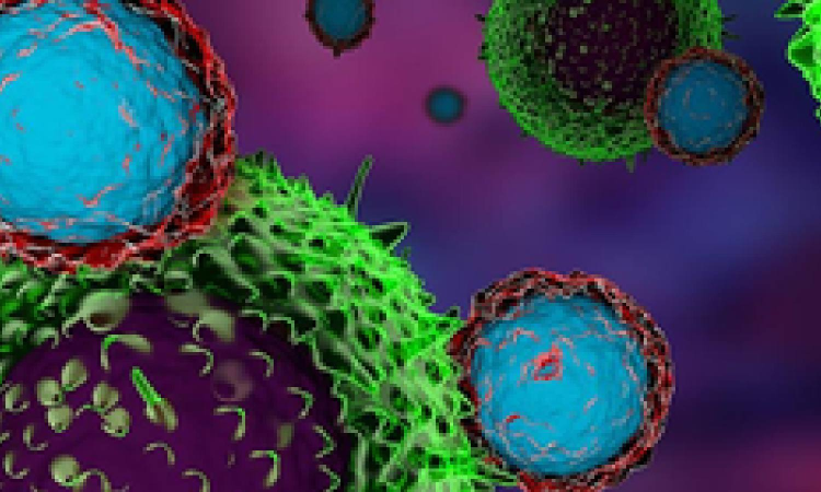 Scientists develop method to expose cancer cells to immune system