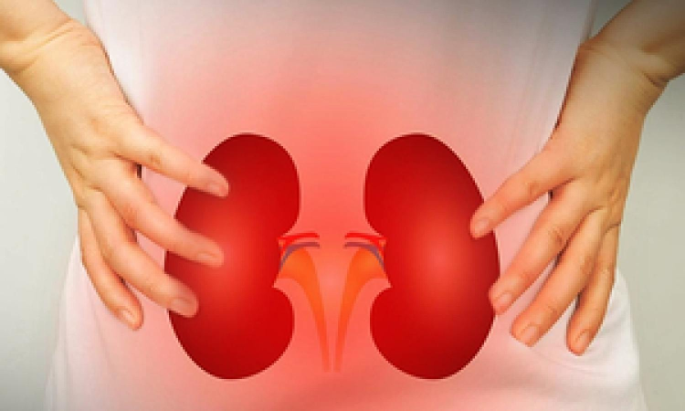 High BP can damage kidney functions even before symptoms appear: Study