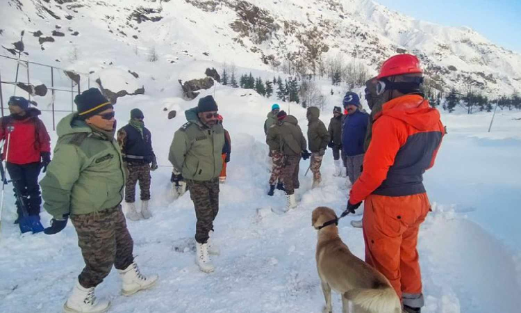 8 labourers lost their lives, while 46 were rescued: Govt tells Parl on Uttarakhand avalanche 8 labourers lost their lives, while 46 were rescued: Govt tells Parl on Uttarakhand avalanche