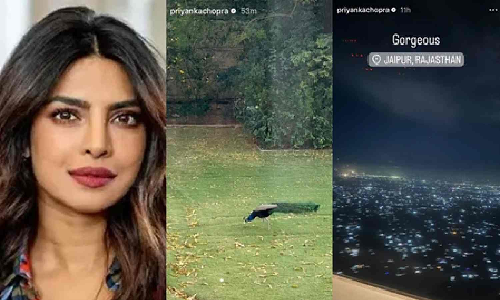 Priyanka Chopra is in Jaipur, finds a friend in a ‘peacock’