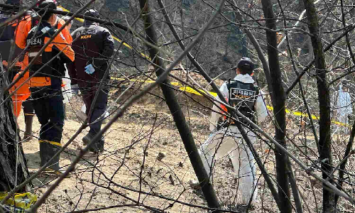 South Korean police plan to question man on suspicion of accidentally starting wildfire