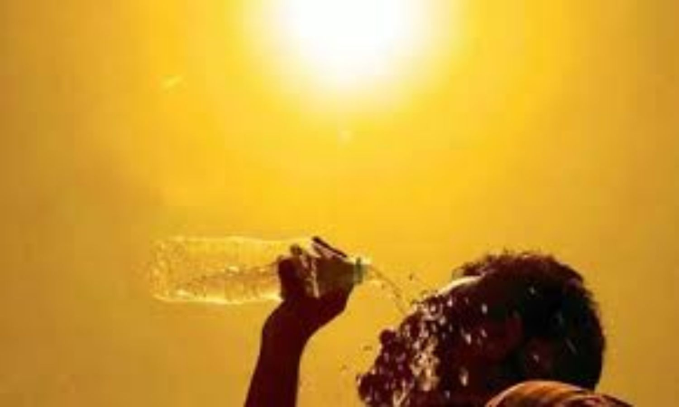 April-June to be hotter than usual, more heatwave days likely in many states: IMD