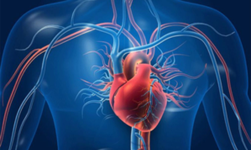 New AI algorithm to predict risk of cardiovascular events, heart-related death