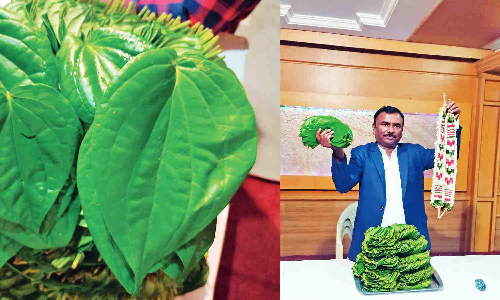 Tamil Nadus pride: Kumbakonam betel leaves and Thovalai flower garlands get GI tags
