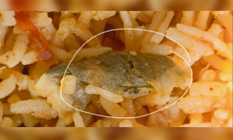 Tiruvallur man finds mysterious substance in Eid biryani ordered via Zomato