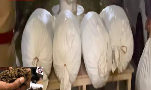 14 kg ganja seized from express train at Erode junction