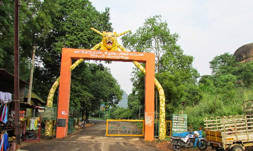 TN forest department plans biodiversity study for Kalakkad Mundanthurai Tiger Reserve