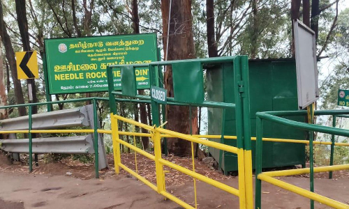 Tourist spot shut down in Nilgiris after tourist dies in bee attack