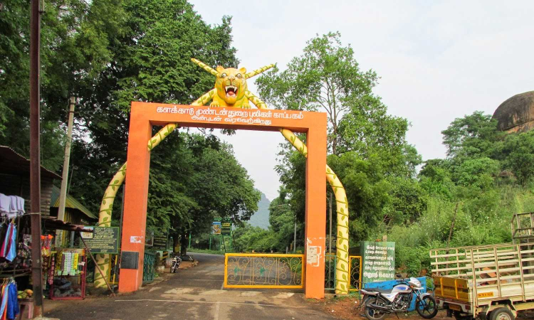 TN forest department plans biodiversity study for Kalakkad Mundanthurai Tiger Reserve