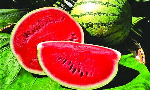 Chennai food safety officer who flagged ‘tainted’ watermelons shunted out