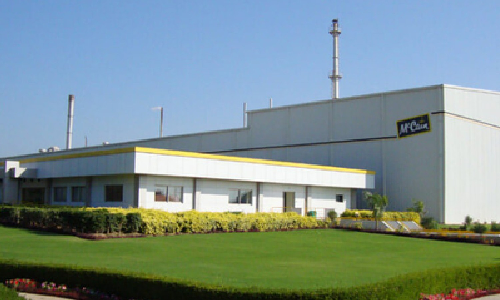 McCain India profit shrinks 29 pc in FY24 amid rising costs