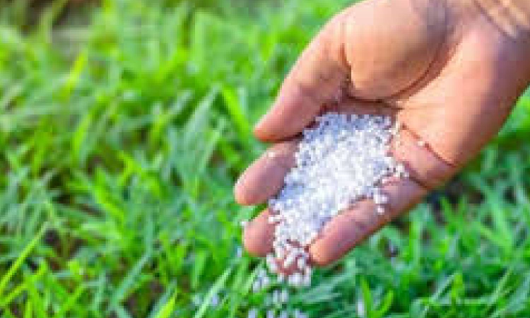 Coromandel’s ‘My Gromor’ retail store in Ooty