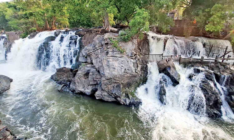 Inflow surges to 70,000 cusecs at Hogenakkal