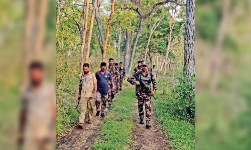TN conducts combing operation in border forests with Kerala, Karnataka police