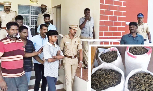Smuggling bid thwarted in Chennai suburb; Andhra peddler held with 140 kg ganja