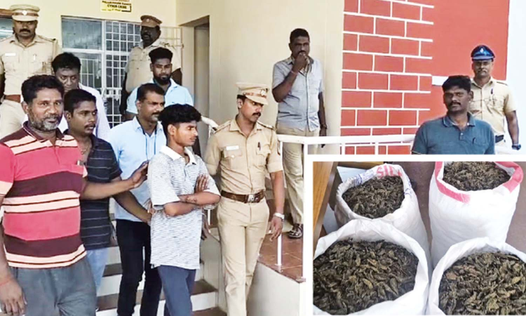 Smuggling bid thwarted in Chennai suburb; Andhra peddler held with 140 kg ganja