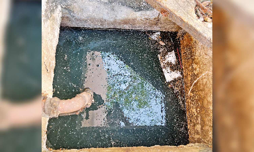 Mosquitoes swarm Madras Medical College, render students sleepless