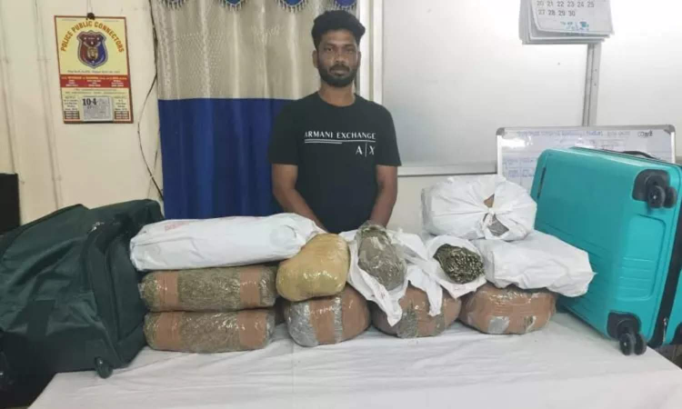 15 kg of ganja seized at Chennai Central railway station; one held