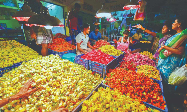 Flower, fruit prices soar ahead of Aadi Perukku