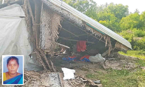 Tamil Nadu: Minor-driven car ploughs into hut, one dead