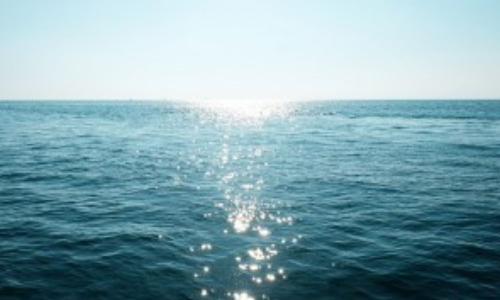 Extreme marine heatwaves tripled over past 80 years: Study