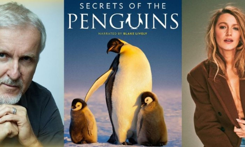 Blake Lively-narrated, James Cameron-backed ‘Secrets of the Penguins’ to tell unprecedented wildlife story