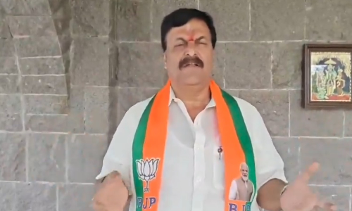 BJP seeks probe into alleged illegal clearances for housing project in Pallikaranai wetland